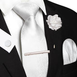 Funki Buys | Neckties | Men's 5pcs Formal Silk Tie Set