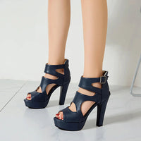 Funki Buys | Shoes | Women's Block Heeled Platform Sandals