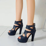 Funki Buys | Shoes | Women's Block Heeled Platform Sandals