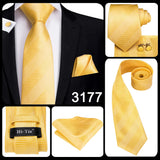 Funki Buys | Neckties | Men's Classic 3 Pcs Yellow Gold Tie Set