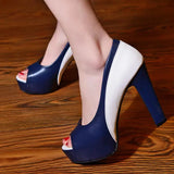 Funki Buys | Shoes | Women's Formal 2 Toned Block Heel Shoes
