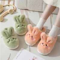 Funki Buys | Shoes | Women's Cute Rabbit Slippers