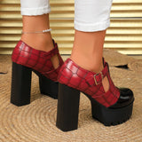 Funki Buys | Shoes | Women's Chunky Block Heeled Mary Janes