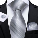 Funki Buys | Neckties | Men's 3pcs Silk Silver Striped Tie Set