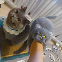 Funki Buys | Shoes | Women's Soft Cat Hug Slippers
