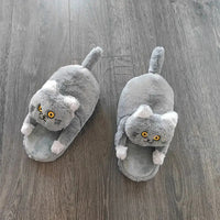 Funki Buys | Shoes | Women's Soft Cat Hug Slippers