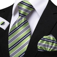 Funki Buys | Neckties | Men's Classic Striped Jacquard Tie Set