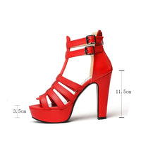 Funki Buys | Shoes | Women's Platform Gladiator Stilettos
