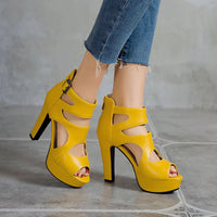 Funki Buys | Shoes | Women's Block Heeled Platform Sandals