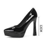 Funki Buys | Shoes | Women's Elegant Patent High Heel Pumps