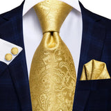 Funki Buys | Neckties | Men's Formal 3pcs Gold Tie Set