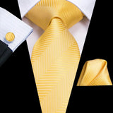Funki Buys | Neckties | Men's Formal 3pcs Gold Tie Set