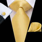 Funki Buys | Neckties | Men's Formal 3pcs Gold Tie Set