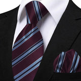 Funki Buys | Neckties | Men's Classic Striped Jacquard Tie Set