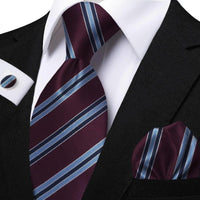 Funki Buys | Neckties | Men's Classic Striped Jacquard Tie Set