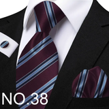 Funki Buys | Neckties | Men's Classic Striped Jacquard Tie Set