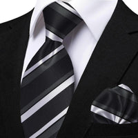 Funki Buys | Neckties | Men's Classic Striped Jacquard Tie Set