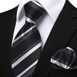 Funki Buys | Neckties | Men's Classic Striped Jacquard Tie Set