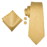Funki Buys | Neckties | Men's Formal 3pcs Gold Tie Set
