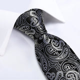 Funki Buys | Neckties | Men's 3 Pcs Luxury Jacquard Tie Sets
