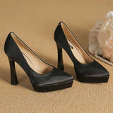 Funki Buys | Shoes | Women's Elegant Satin High Heel Pumps