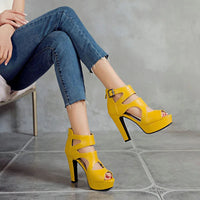 Funki Buys | Shoes | Women's Block Heeled Platform Sandals