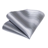 Funki Buys | Neckties | Men's 3pcs Silk Silver Striped Tie Set