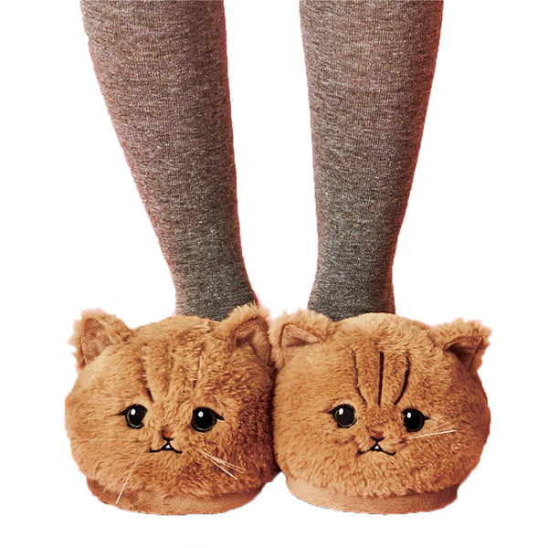 Funki Buys | Shoes | Women's Plush Kitten Slippers