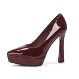 Funki Buys | Shoes | Women's Elegant Patent High Heel Pumps