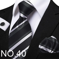 Funki Buys | Neckties | Men's Classic Striped Jacquard Tie Set