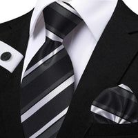 Funki Buys | Neckties | Men's Classic Striped Jacquard Tie Set