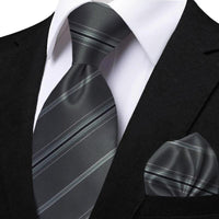 Funki Buys | Neckties | Men's Classic Striped Jacquard Tie Set