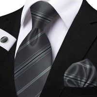 Funki Buys | Neckties | Men's Classic Striped Jacquard Tie Set