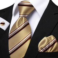 Funki Buys | Neckties | Men's Classic Striped Jacquard Tie Set