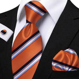 Funki Buys | Neckties | Men's Classic Striped Jacquard Tie Set