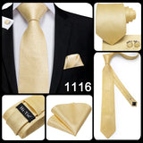 Funki Buys | Neckties | Men's Classic 3 Pcs Yellow Gold Tie Set