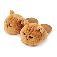 Funki Buys | Shoes | Women's Plush Kitten Slippers