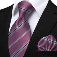 Funki Buys | Neckties | Men's Classic Striped Jacquard Tie Set