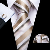 Funki Buys | Neckties | Men's Classic Formal 3pcs Tie Set