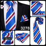 Funki Buys | Neckties | Men's 3 Pcs Elegant Formal Silk Tie Sets