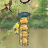 Funki Buys | Pet Feeders | Hanging  Bird Seed Metal Feeder