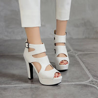Funki Buys | Shoes | Women's Block Heeled Platform Sandals