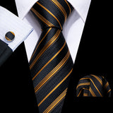 Funki Buys | Neckties | Men's Classic Formal 3pcs Tie Set