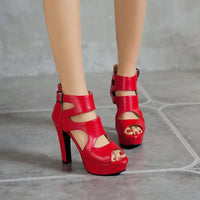 Funki Buys | Shoes | Women's Block Heeled Platform Sandals