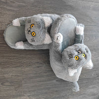 Funki Buys | Shoes | Women's Soft Cat Hug Slippers