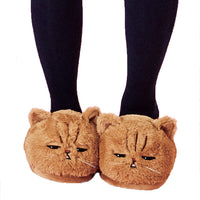 Funki Buys | Shoes | Women's Plush Kitten Slippers