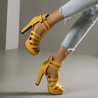 Funki Buys | Shoes | Women's Platform Gladiator Stilettos