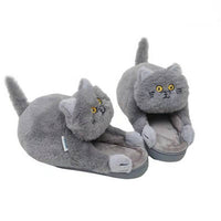 Funki Buys | Shoes | Women's Soft Cat Hug Slippers
