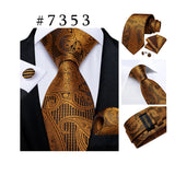 Funki Buys | Neck Ties | Men's Luxury 3Pcs Formal Tie Sets