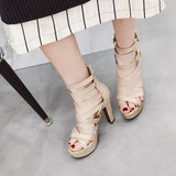 Funki Buys | Shoes | Women's Platform Gladiator Glitter Sandals